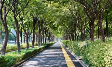 NY Unveils Strict Carbon Rules and $8.4M Green Streets as Industry Hits Back