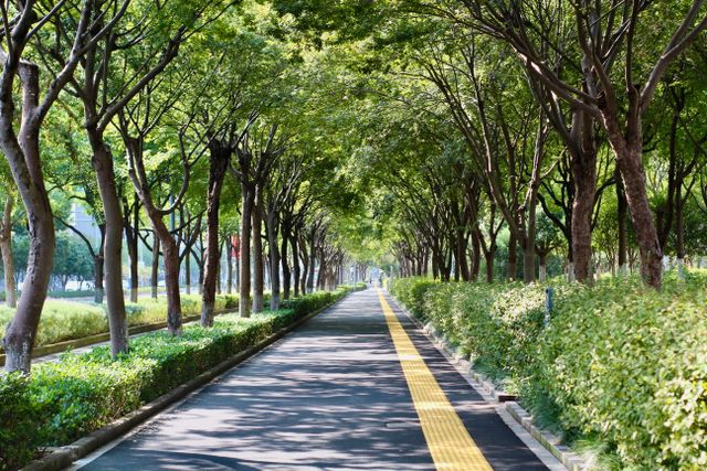 NY Unveils Strict Carbon Rules and $8.4M Green Streets as Industry Hits Back