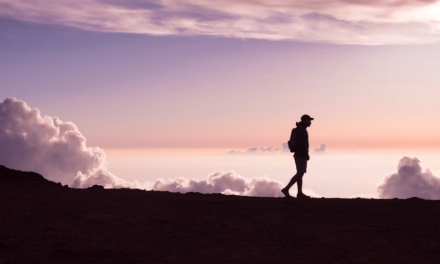 Simple Daily Walking Routines Gain Attention for Their Benefits to Heart Health
